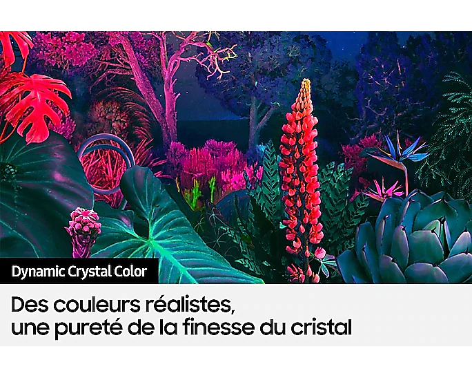 Téléviseur Samsung Cristal UHD 43/50/55/65/75 pouces BU8000 – Image 5